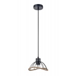 Подвесной светильник Vele Luce Formula VL6482P01