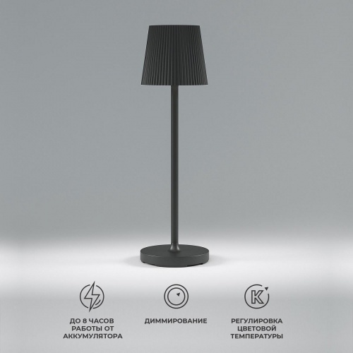 Настольная светодиодная лампа Elektrostandard Mist TL70220 черный a063970