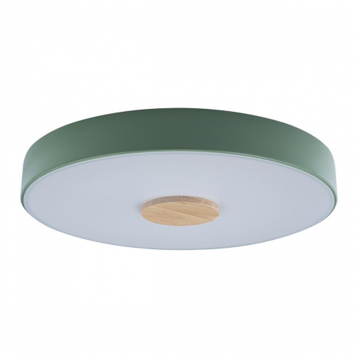 Потолочный светодиодный светильник Loft IT Axel 10003/24 green