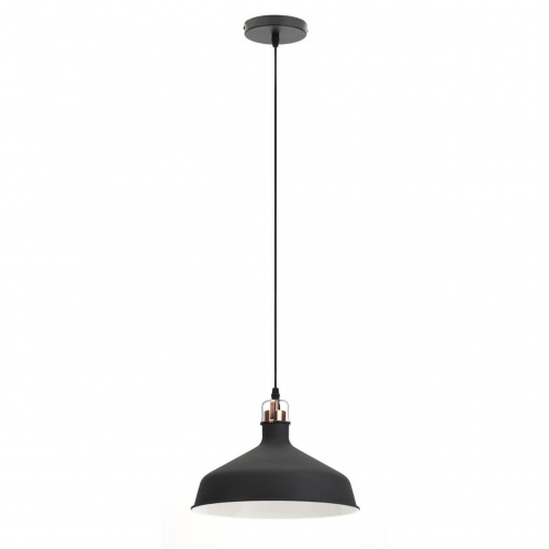 Подвесной светильник ЭРА Loft PL2 BK/RC Б0037413