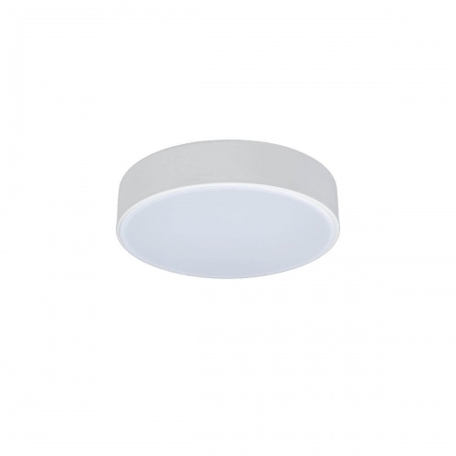 Потолочный светодиодный светильник Loft IT Axel 10002/12 white
