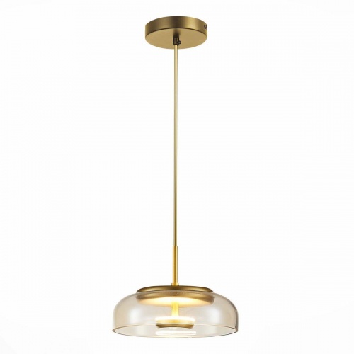 Подвесной светодиодный светильник ST Luce Lazio SL6002.203.01