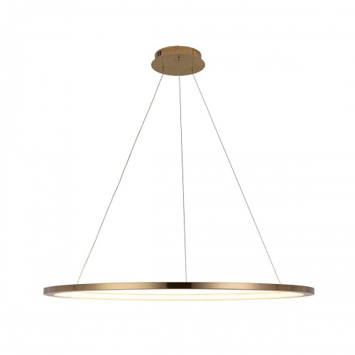 Подвесной светодиодный светильник Loft IT Ring 10014XL