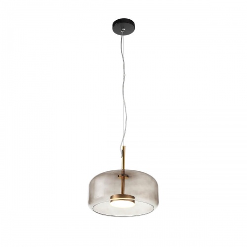 Подвесной светодиодный светильник ST Luce Palochino SL1053.243.01