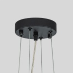 Подвесная люстра Favourite Orgel 4501-21P