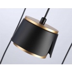 Подвесная люстра Ambrella light Techno Spot Techno family TN71252