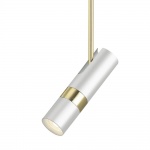 Подвесной светильник Lumien Hall Саурис LH8020/1P-WT-GD