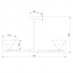 Потолочная люстра Eurosvet Rylee 70138/6 хром