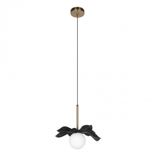 Подвесной светильник Loft IT Monro 10213/A Black