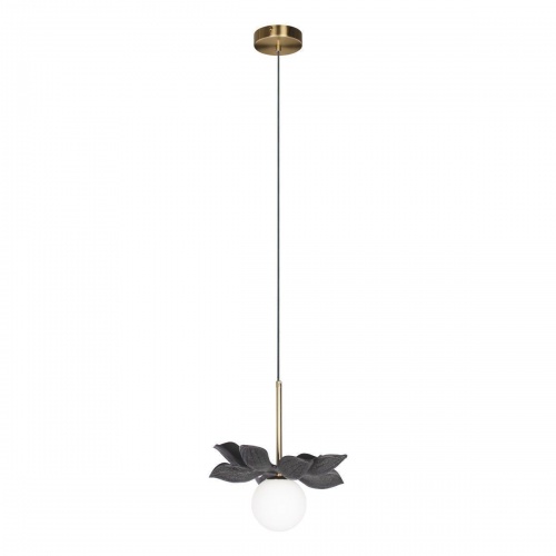 Подвесной светильник Loft IT Monro 10213/B Black