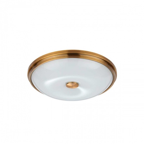 Потолочный светильник Odeon Light Walli Pelow 4956/4