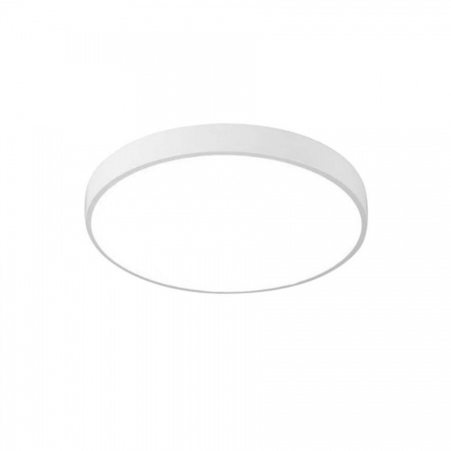 Потолочный светодиодный светильник Arte Lamp Arena A2661PL-1WH