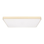 Потолочный светодиодный светильник Loft IT Flims 10228/E