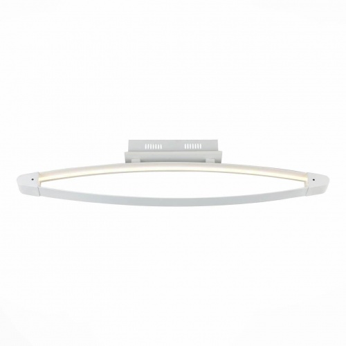 Потолочный светодиодный светильник ST Luce SL920.102.01