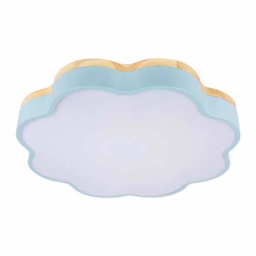 Потолочный светодиодный светильник Loft IT Axel 10225/36 Blue
