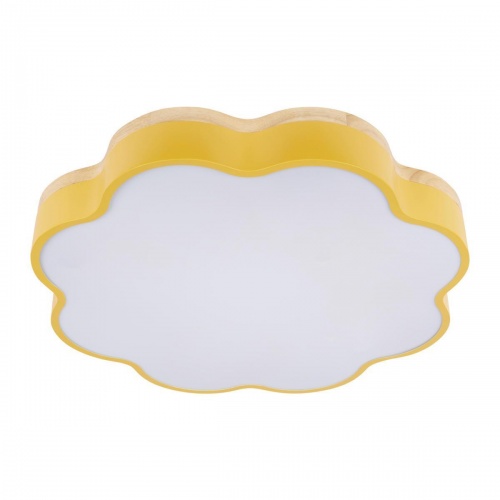 Потолочный светодиодный светильник Loft IT Axel 10225/36 Yellow