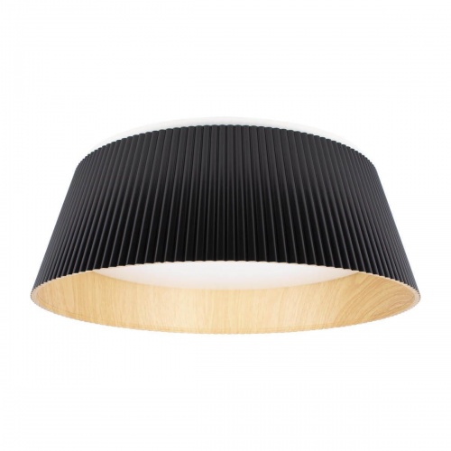 Потолочный светодиодный светильник Loft IT Evans 10224 Black