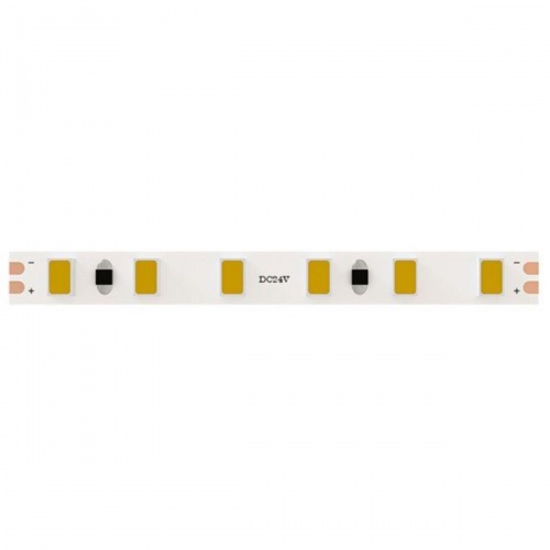 Светодиодная лента Arte Lamp 9,6W/m холодный белый 5М A2412005-03-6K