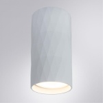 Потолочный светильник Arte Lamp Fang A5557PL-1WH