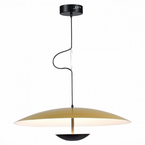 Подвесной светодиодный светильник ST Luce ARMONICO SL6502.213.01