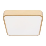 Потолочный светодиодный светильник Loft IT Flims 10228/C