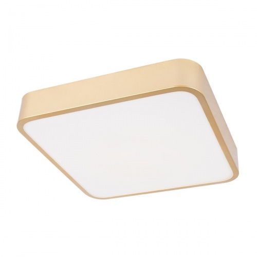 Потолочный светодиодный светильник Loft IT Flims 10228/C