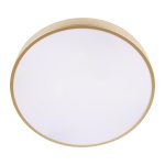Потолочный светодиодный светильник Loft IT Flims 10228/A