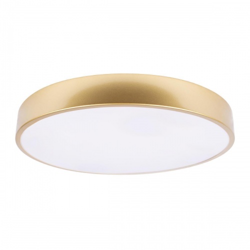 Потолочный светодиодный светильник Loft IT Flims 10228/A