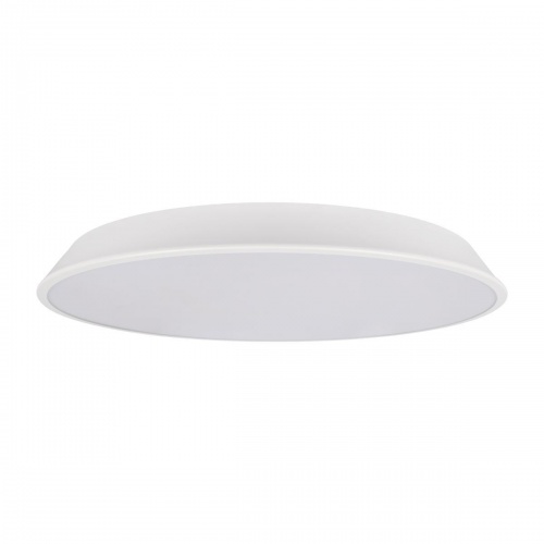 Потолочный светодиодный светильник Loft IT Brim 10226 White
