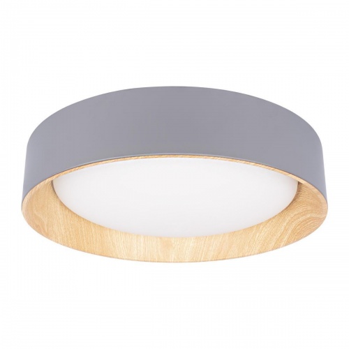 Потолочный светодиодный светильник Loft IT Coin 10202 Grey