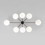 Потолочная люстра Eurosvet Opaline 70220/8 черный Smart