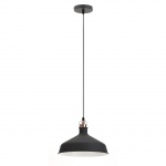 Подвесной светильник ЭРА Loft PL2 BK/RC Б0037413