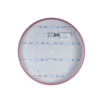 Потолочный светодиодный светильник Loft IT Axel 10003/24 pink