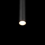 Подвесной светильник Loft IT Metropolis 10334/300 Black