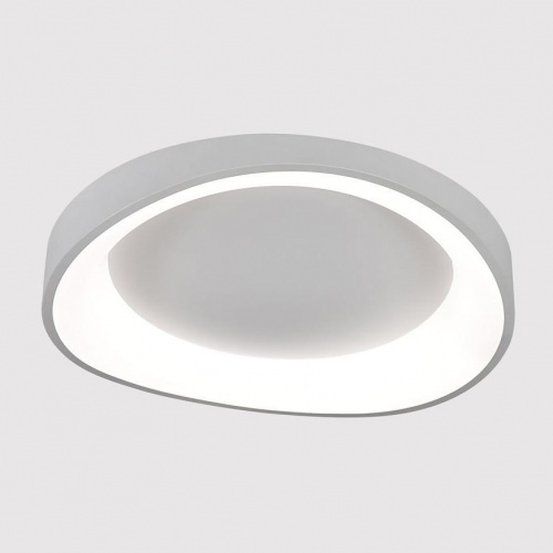 Потолочный светодиодный светильник Arte Lamp Sualocin A2698PL-60WH