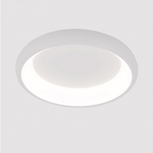 Потолочный светодиодный светильник Arte Lamp Menkib A2694PL-45WH