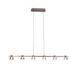 Подвесной светодиодный светильник Aployt Rezeda APL.788.03.06