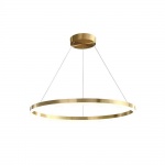 Подвесная светодиодная люстра Aployt Armel APL.049.13.40