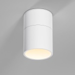Потолочный светильник Elektrostandard 25112/LED a067486
