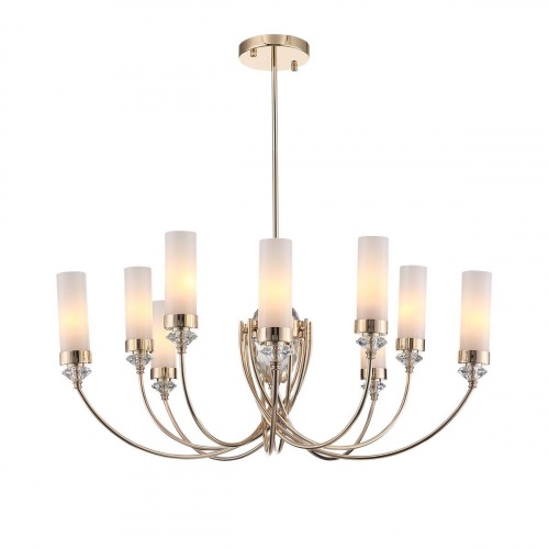 Подвесная люстра ST Luce Elegra SL1402.253.10
