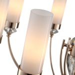 Подвесная люстра ST Luce Elegra SL1402.253.10