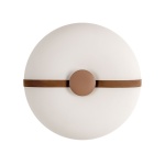 Потолочный светильник Loft IT Bolina 10473