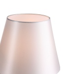 Настольная лампа ST Luce Opalus SL1403.304.01