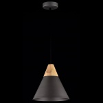 Подвесной светильник Maytoni Bicones P359-PL-220-C
