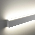 Настенный светодиодный светильник Elektrostandard LSG-02-2-8 53-18-6500-MS a041476