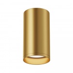 Потолочный светильник Maytoni Focus S C052CL-01MG